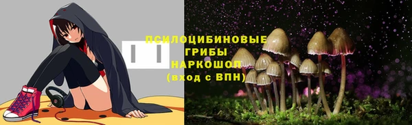 дурь Вяземский