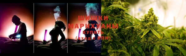 дурь Вяземский