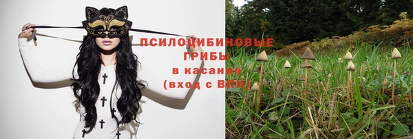 дурь Вяземский