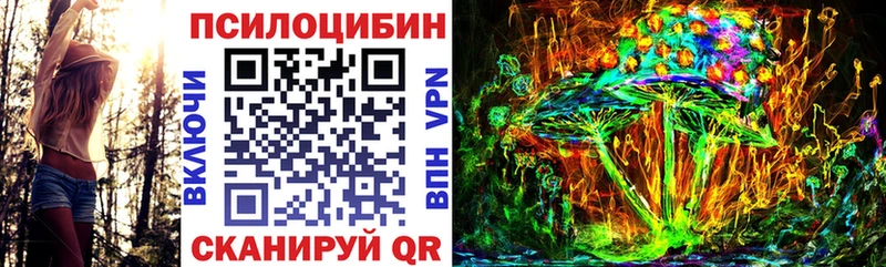 Купить  Адыгейск  Галлюциногенные грибы MAGIC MUSHROOMS 